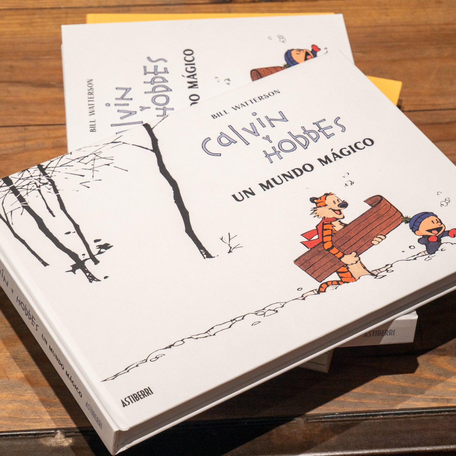 BILL WATERSON | Calvin y Hobbes: Un mundo mágico