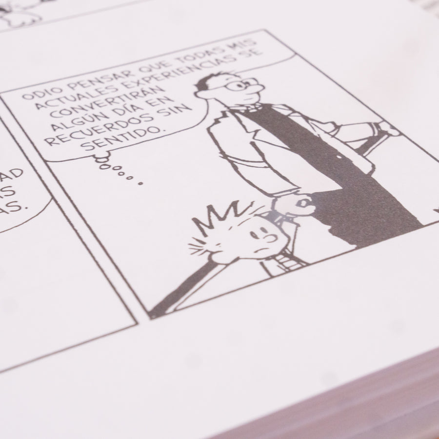 BILL WATERSON | Calvin y Hobbes: Un mundo mágico