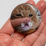 Chapa Meme gato