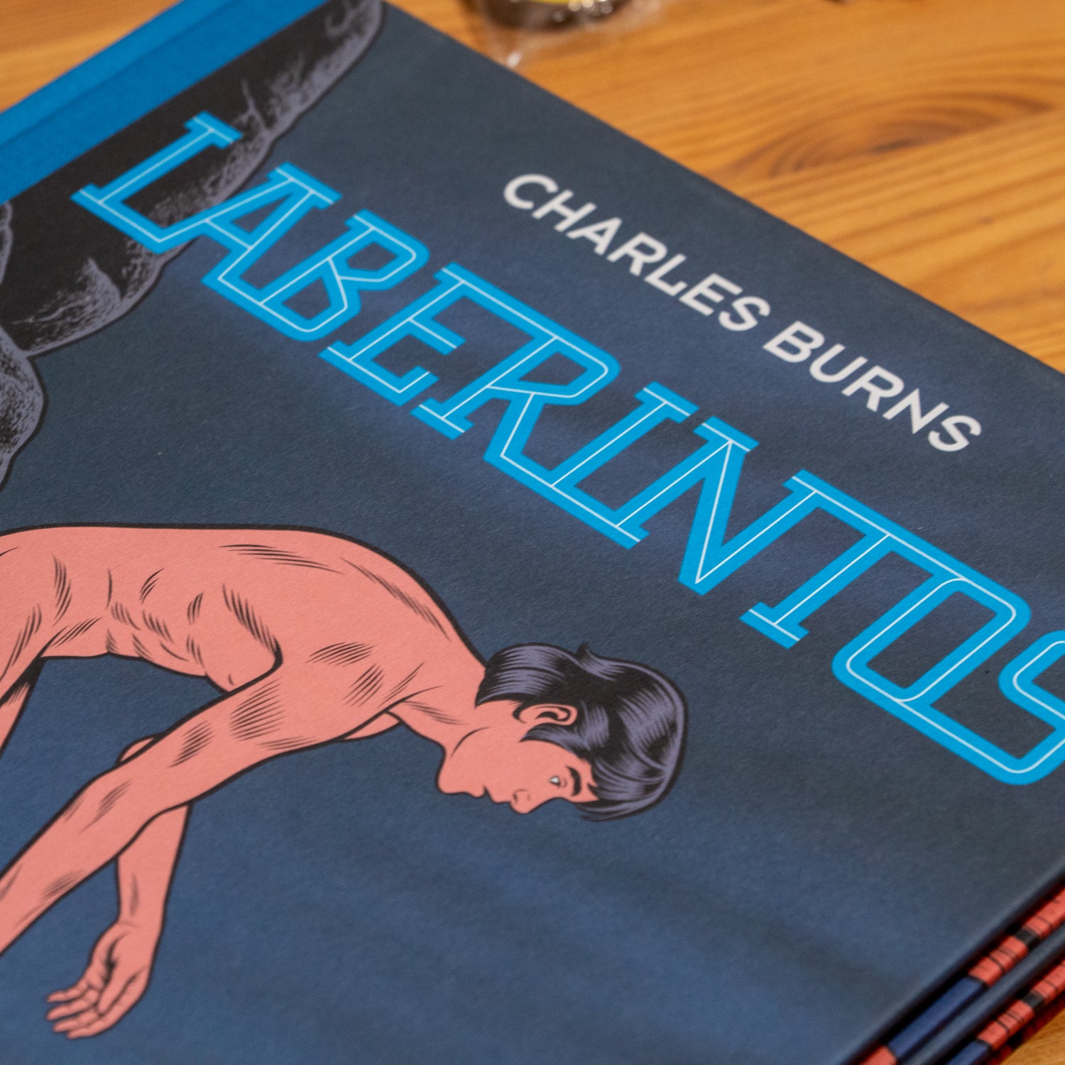 CHARLES BURNS | Laberintos 2