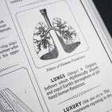 MARTIN OLSON | Enciclopedya of Hell. An Invasion Manual for Demons Concerning the Planet Earth and the Human Race Which Infests It