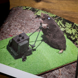 KAT SU | Crap Taxidermy