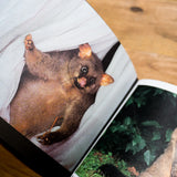 KAT SU | Crap Taxidermy