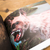 KAT SU | Crap Taxidermy