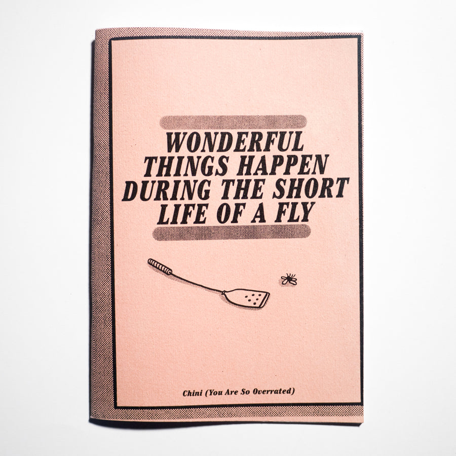 CHINI OVERRATED | Wonderful Things Happen During The Short Life of a Fly