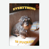 LA LLAMA | Postal "Everything is fucked"