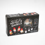 Set de 4 Mini-gnomos traviesos para macetas