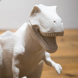 Macetero T- REx