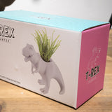 Macetero T- REx