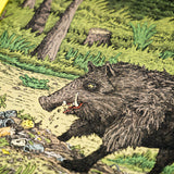 EVIN COLLIS | LITTERPIG #1
