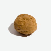 Nuez goma de borrar