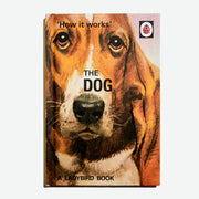 A LADYBIRD BOOK FOR GROWN-UPS | How it works: The Dog