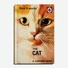 A LADYBIRD BOOK FOR GROWN-UPS | How it works: The Cat