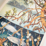 TEAGAN WHITE y LOVEDAY TRINICK | Oceanarium