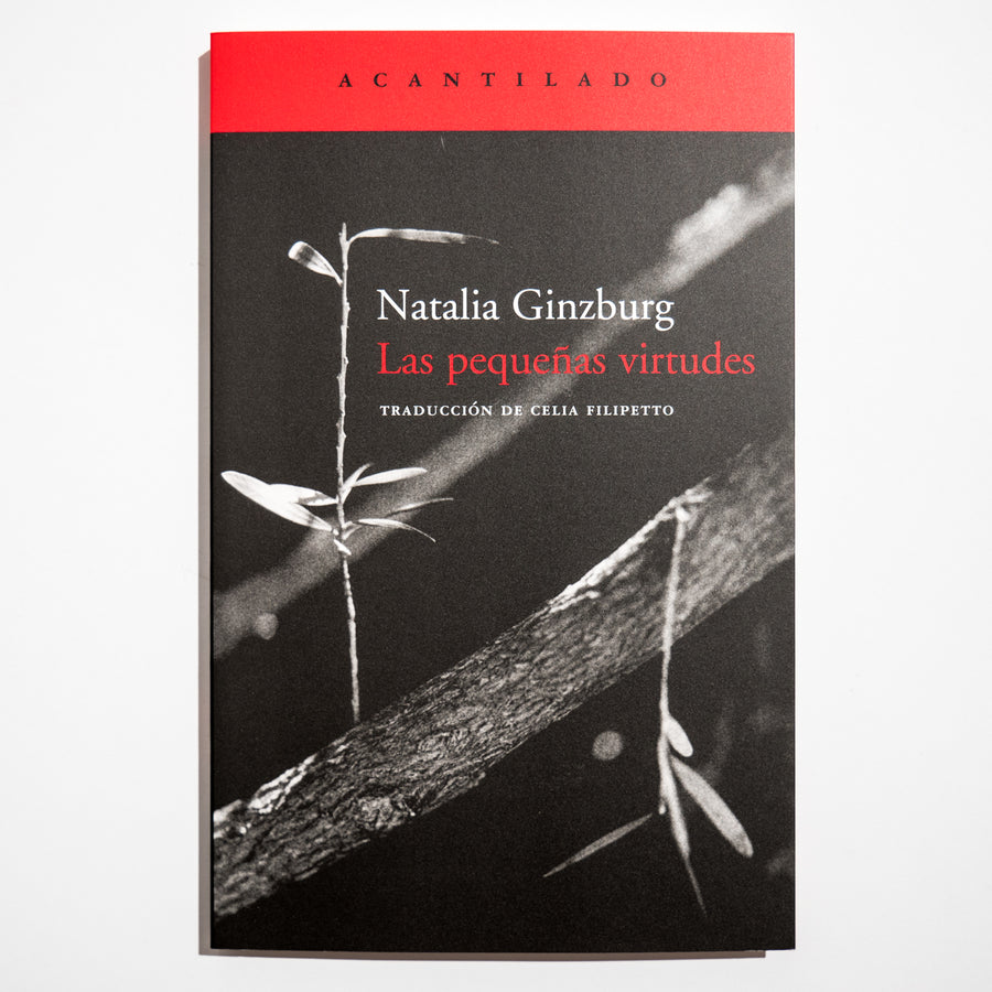 NATALIA GINZBURG | Las pequeñas virtudes