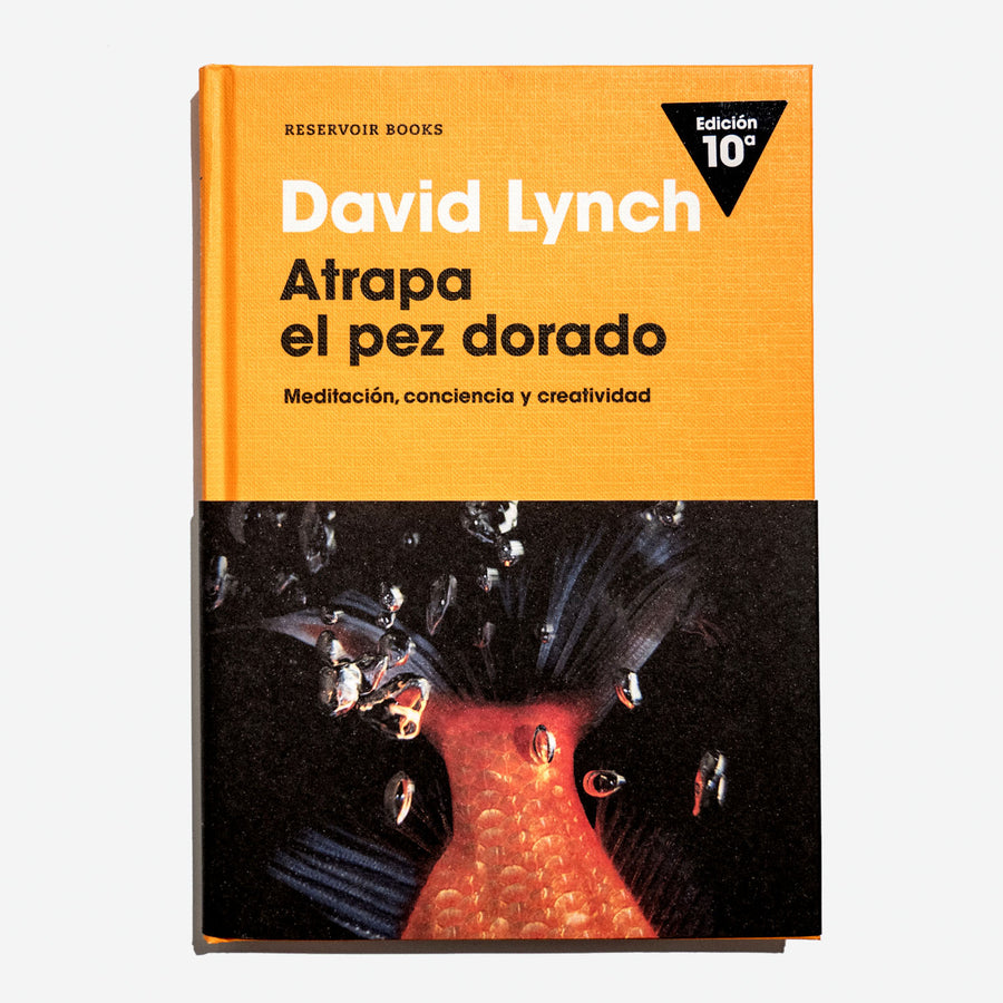 DAVID LYNCH | Atrapa el pez dorado