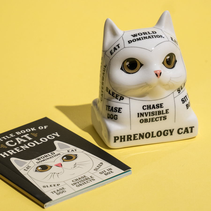 Phrenology Cat. Read your cat's mind!