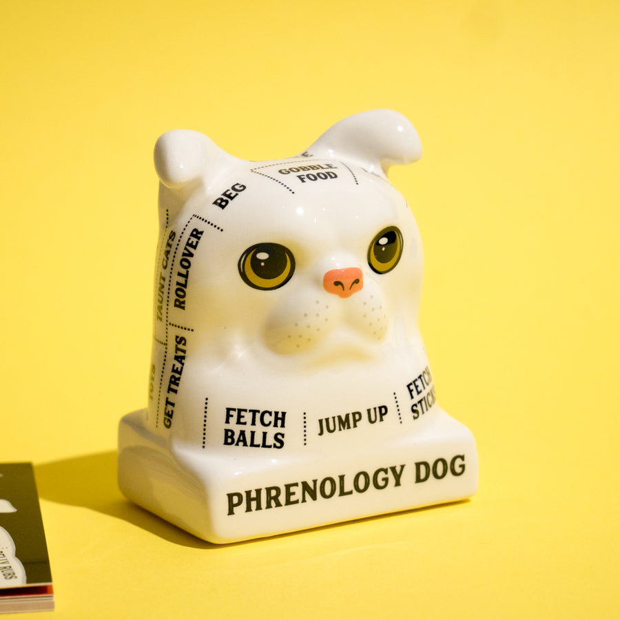 Phrenology Dog. Read your dog's mind!