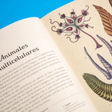 KATIE SCOTT | Historia de la vida. Evolución