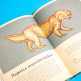 KATIE SCOTT | Historia de la vida. Evolución