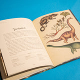 KATIE SCOTT | Historia de la vida. Evolución
