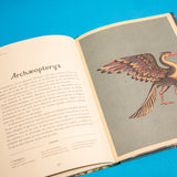 KATIE SCOTT | Historia de la vida. Evolución