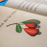 KATIE SCOTT & KATHY WILLIS | Botanicum