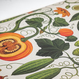 KATIE SCOTT & KATHY WILLIS | Botanicum