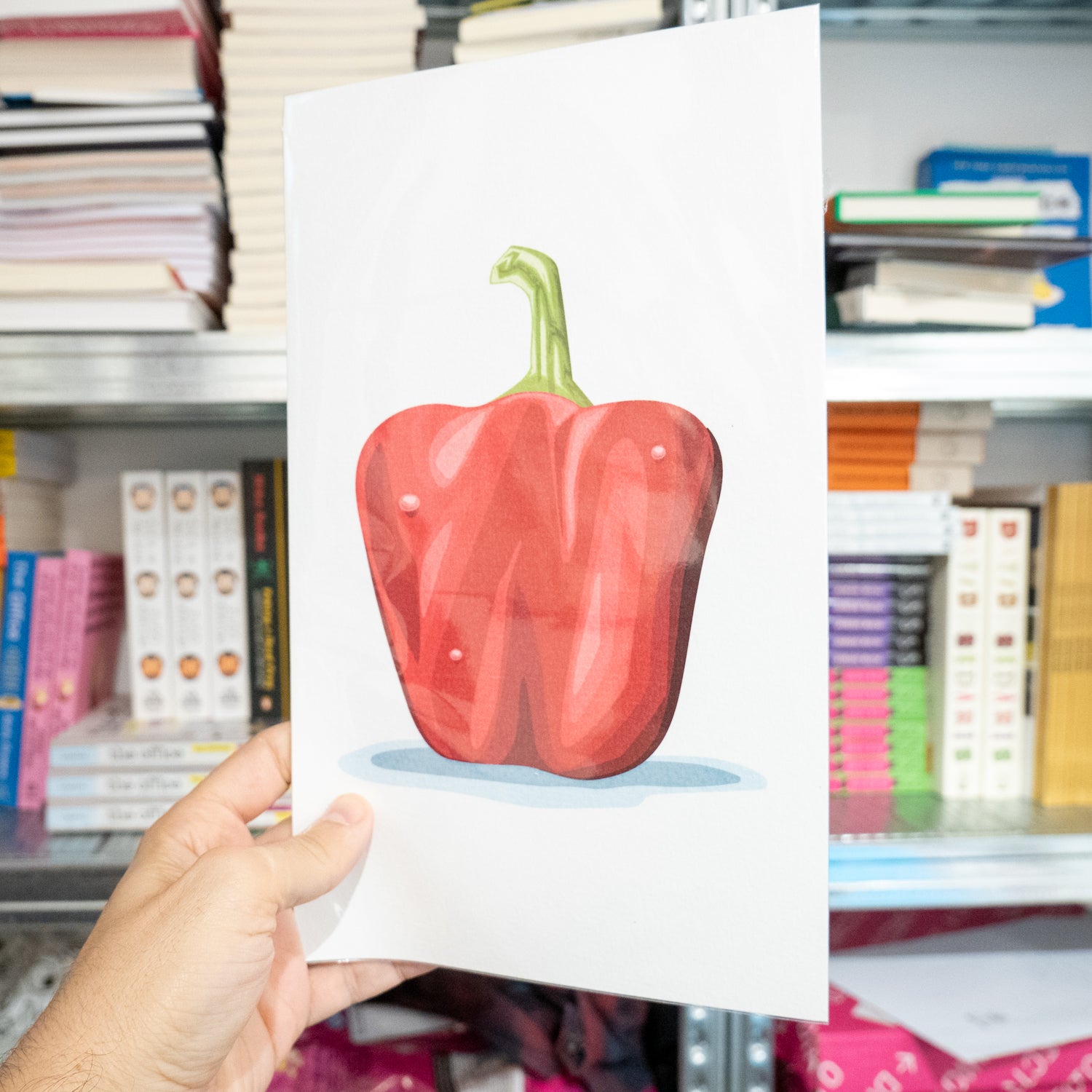 ALBERT RIPOLL | Prints varios