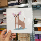 ALBERT RIPOLL | Prints varios