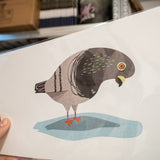 ALBERT RIPOLL | Prints varios