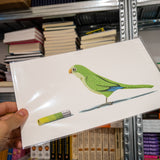 ALBERT RIPOLL | Prints varios