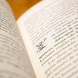 El gran libro de Satán