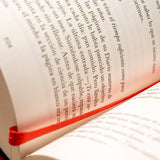 El gran libro de Satán