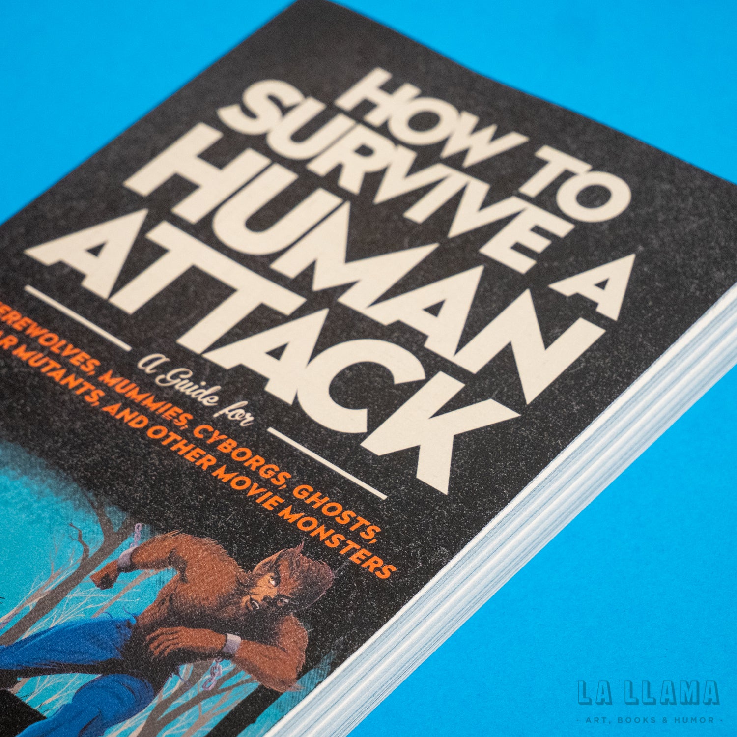 K. E. FLANN | How to survive a human attack