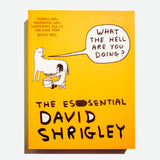 DAVID SHRIGLEY | What the hell are you doing? The essential David Shirgley