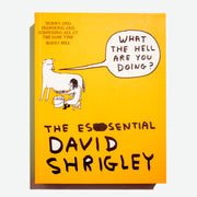 DAVID SHRIGLEY | What the hell are you doing? The essential David Shirgley