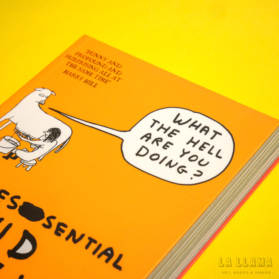 DAVID SHRIGLEY | What the hell are you doing? The essential David Shirgley