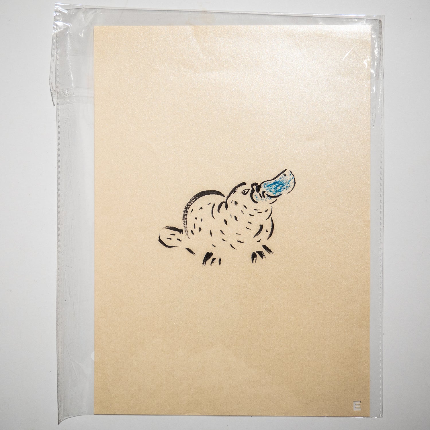 ESTEL BOADA | Print A4 (varios)