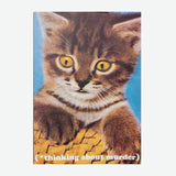 LA LLAMA | Postal "Thinking about murder"