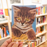LA LLAMA | Postal "Thinking about murder"