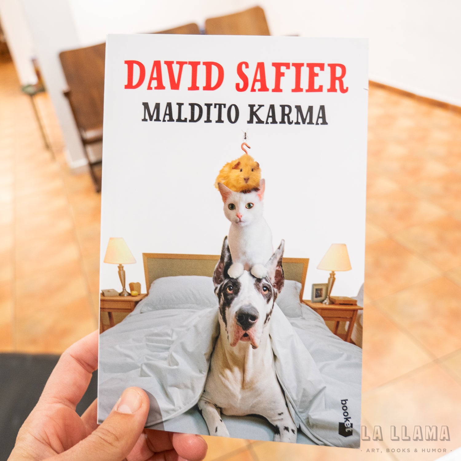 DAVID SAFIER | Maldito Karma (bolsillo)
