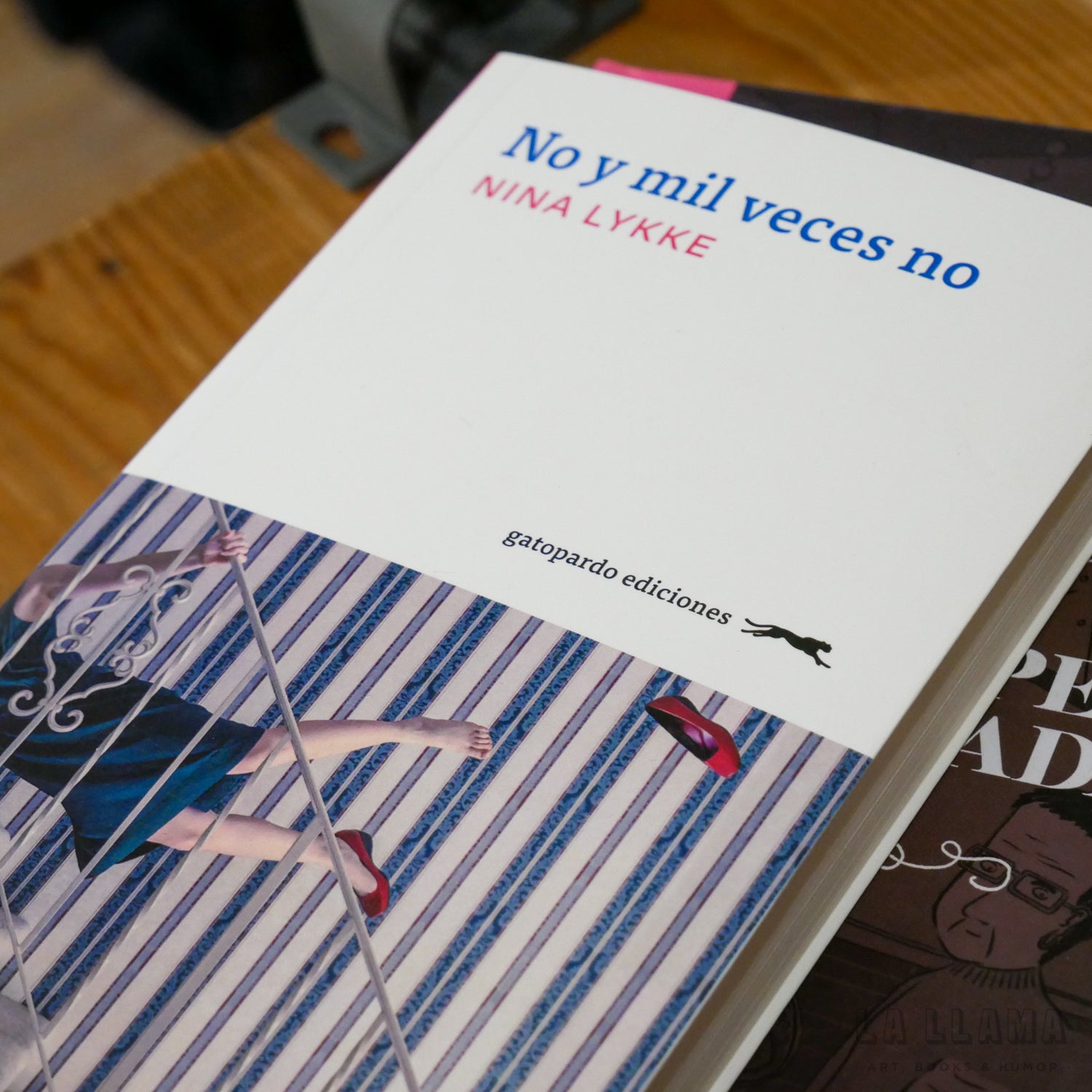 NINA LYKKE | No y mil veces no