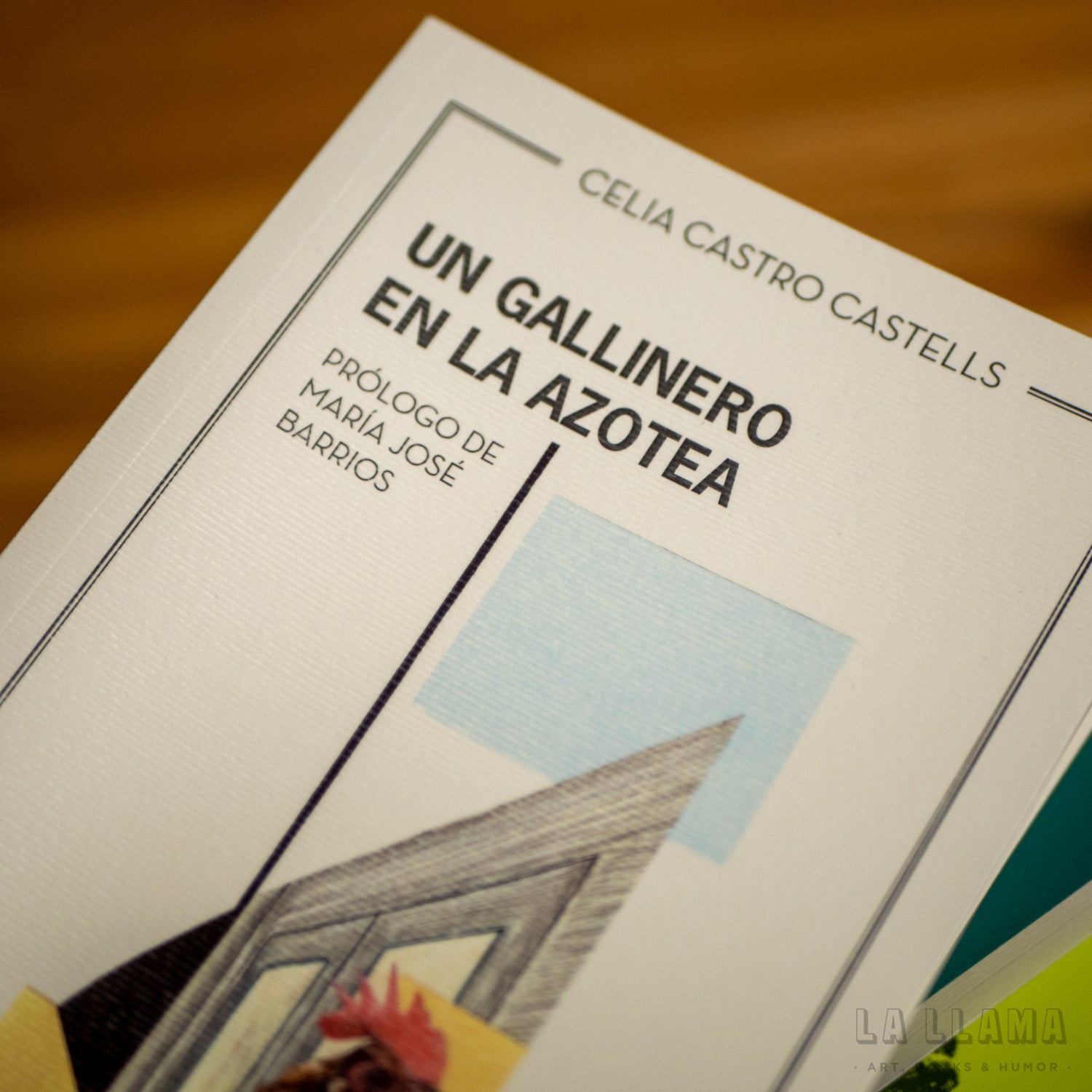 CELIA CASTRO CASTELLS | Un gallinero en la azotea