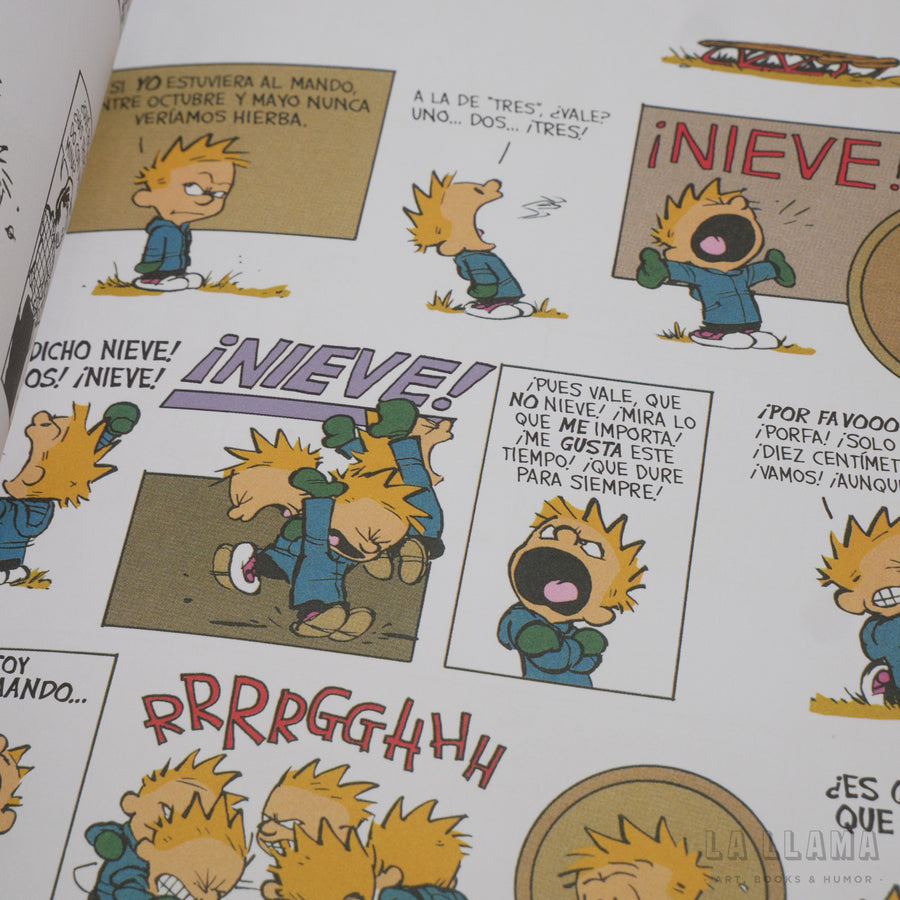 BILL WATERSON | El gran Calvin y Hobbes ilustrado