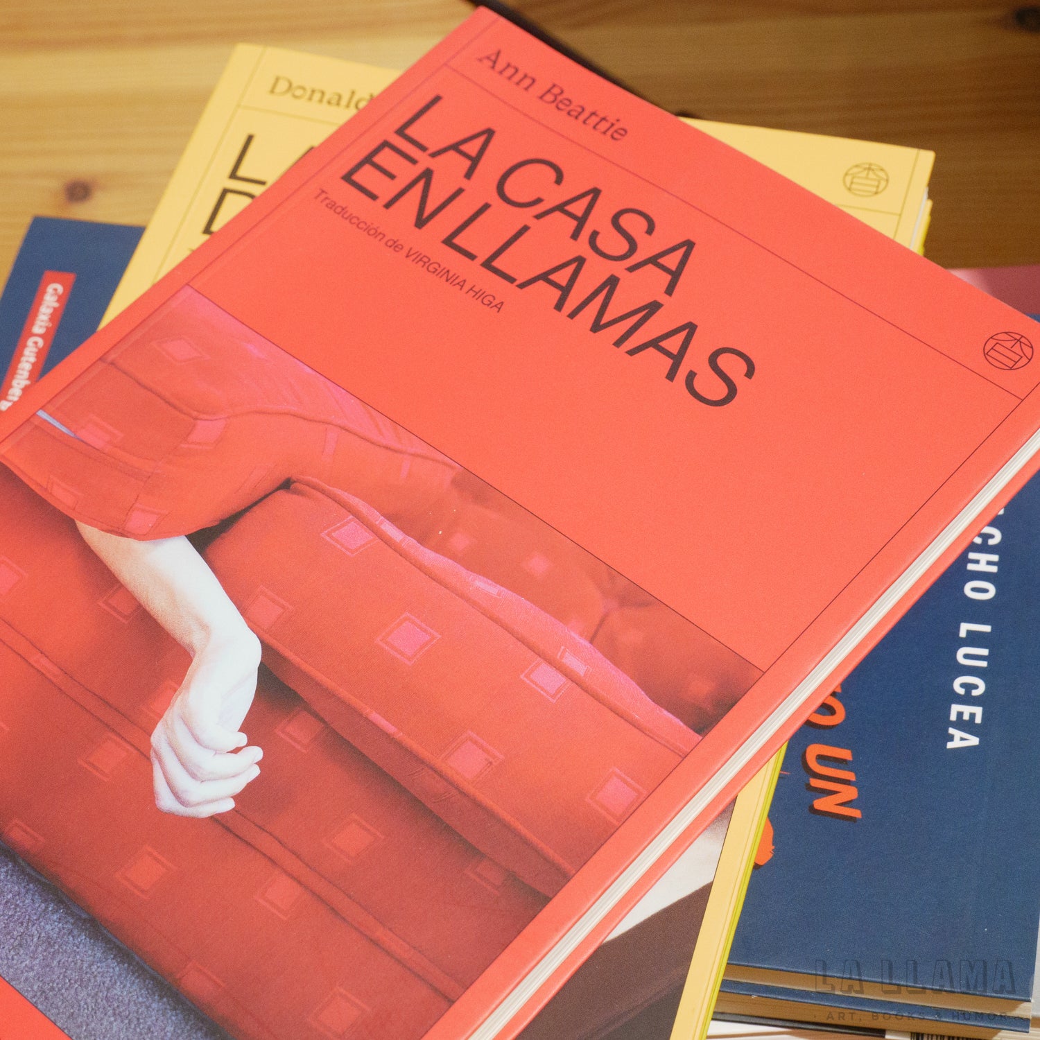 ANN BEATTIE | La casa en llamas