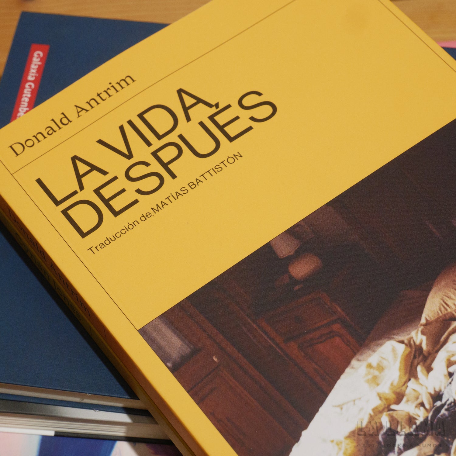 DONALD ANTRIM | La vida después