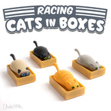 "Gato en caja" de carreras