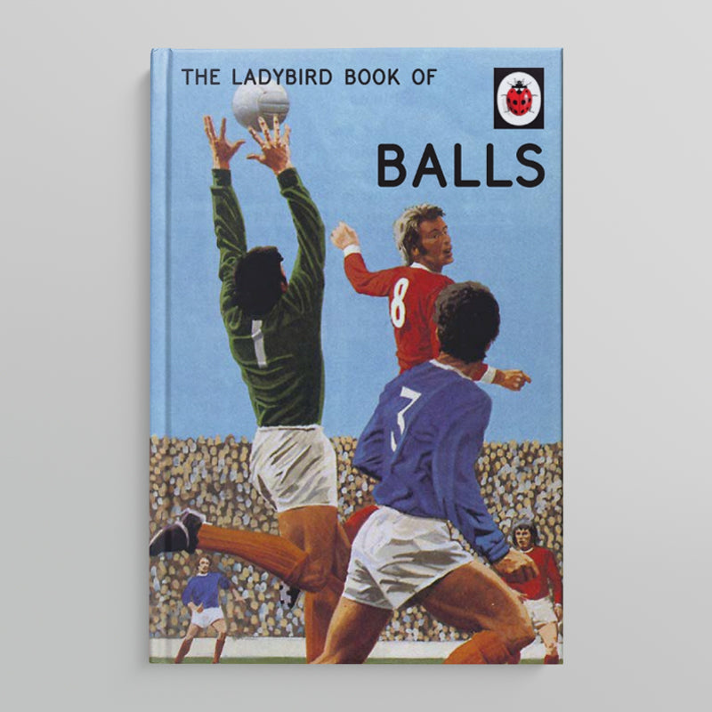A LADYBIRD BOOK FOR GROWN-UPS | Balls