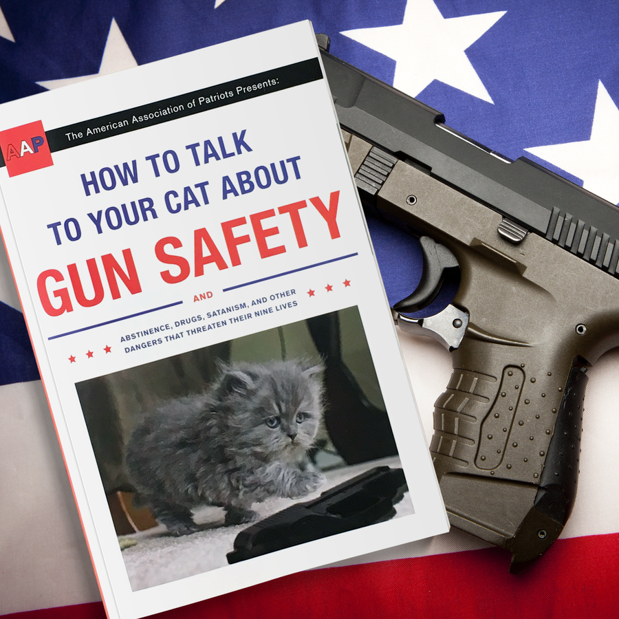 Hob's review How to Talk to Your Cat About Gun Safety by Zachary